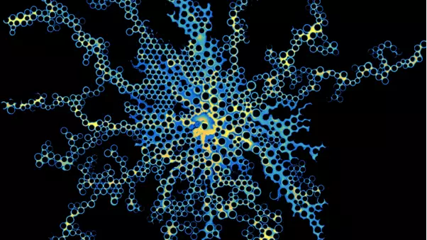 Instabilities